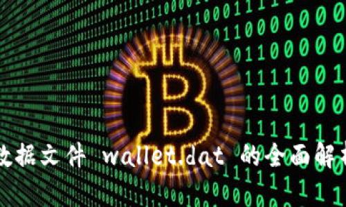 比特派钱包数据文件 wallet.dat 的全面解析和使用指南