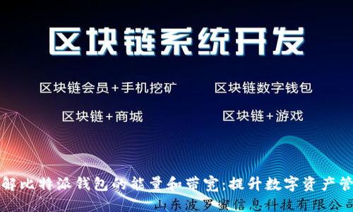 标题
深入了解比特派钱包的能量和带宽：提升数字资产管理效率