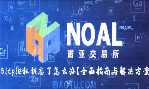 Bitpie私钥忘了怎么办？全面指南与解决方案