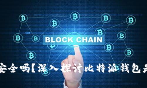比特派钱包安全吗？深入探讨比特派钱包是否存在后门