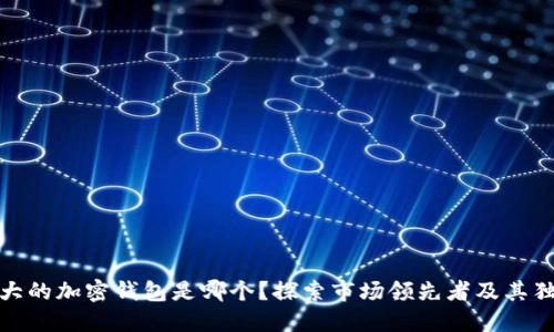 全球最大的加密钱包是哪个？探索市场领先者及其独特之处