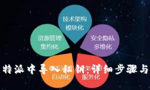 如何在比特派中导入私钥：详细步骤与注意事项