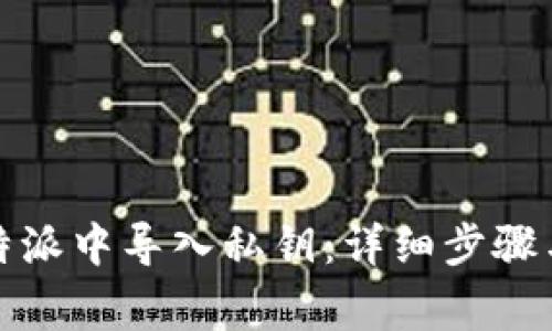 如何在比特派中导入私钥：详细步骤与注意事项