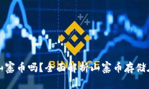 以太坊钱包可以存储山寨币吗？全面解析山寨币存储在以太坊钱包的可行性