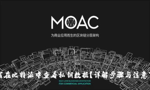 如何在比特派中查看私钥数据？详解步骤与注意事项