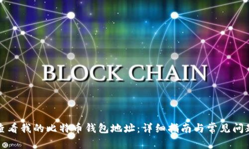 如何查看我的比特币钱包地址：详细指南与常见问题解析