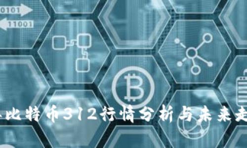 2021年比特币312行情分析与未来走势预测
