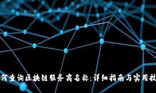 如何查询区块链服务商名称：详细指南与实用技巧