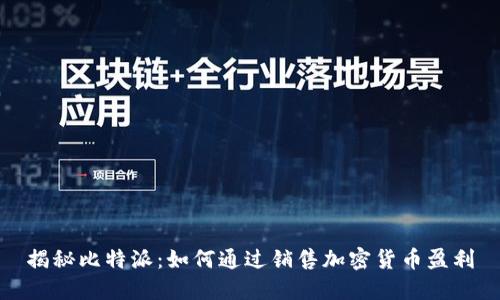 揭秘比特派：如何通过销售加密货币盈利