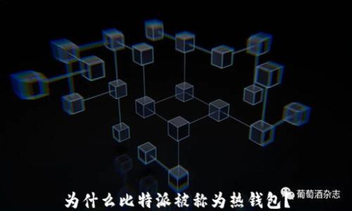 
为什么比特派被称为热钱包？