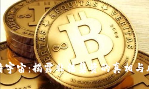 玛特宇宙：揭露非法集资的真相与风险