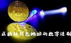 深入了解区块链钱包地址