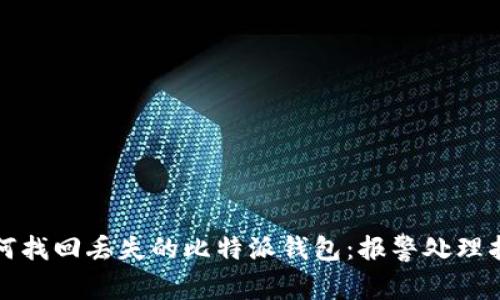 如何找回丢失的比特派钱包：报警处理指南