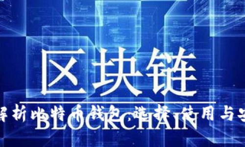 全面解析比特币钱包：选择、使用与安全性