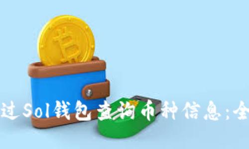 如何通过Sol钱包查询币种信息：全面指南