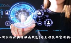 如何识别区块链骗局钱包