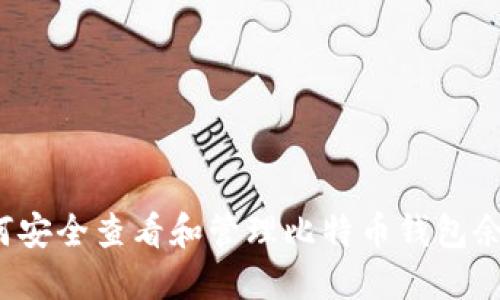 如何安全查看和管理比特币钱包余额？