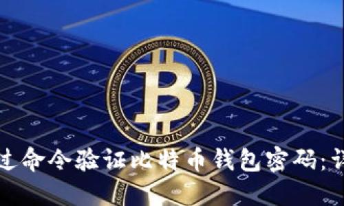 如何通过命令验证比特币钱包密码：详细指南