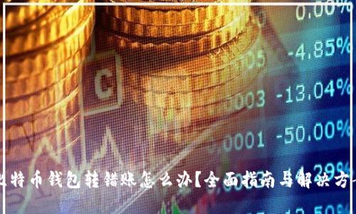 比特币钱包转错账怎么办？全面指南与解决方案