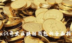Rust开发区块链钱包的全面