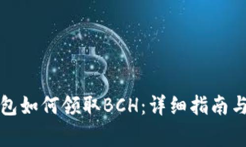 比特币钱包如何领取BCH：详细指南与注意事项