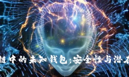 揭秘区块链中的未知钱包：安全性与潜在风险分析