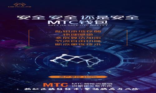 : 揭秘区块链链币：警惕骗局与风险