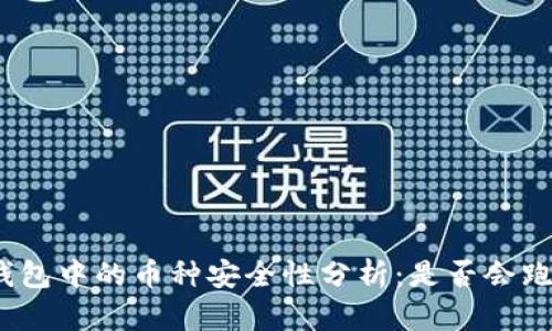tp钱包中的币种安全性分析：是否会跑路？