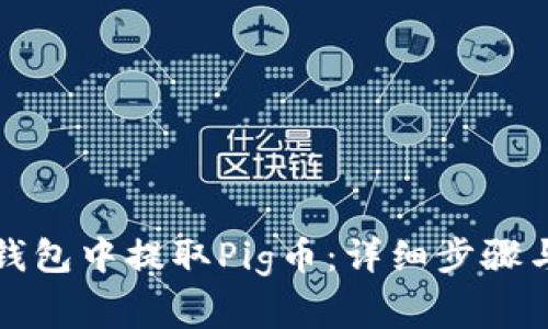 如何从TP钱包中提取Pig币：详细步骤与注意事项